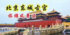 淫逼荡女和猛男中国北京-东城古宫旅游风景区